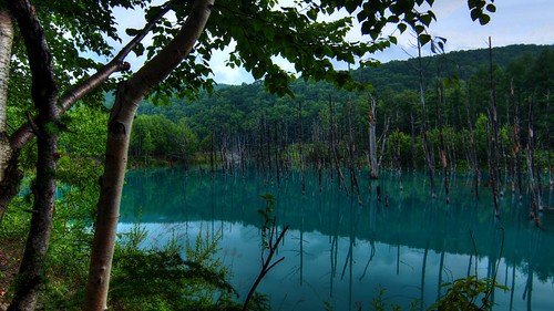 park morning blue summer sky sun japan pond hokkaido view cannon biei hdr furano magiclantern 美瑛 富良野 eos60d saikachi 青い池 n43cd