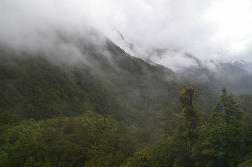 newzealand clouds forest wolken wald southland nzl neuseeland fiordlandnp