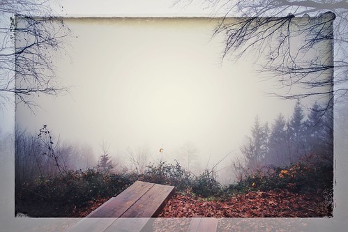 nature fog mist hiking velenje autumn sonyilca77m2 tamronspaf1024mmf3545diiildasphericalif snapseed