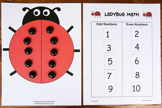 Odd and Even Ladybug Math Activity