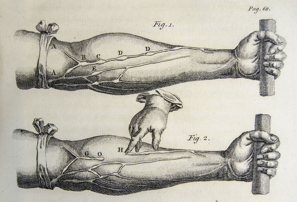 William Harvey, De Motu Cordis - veins of the arm