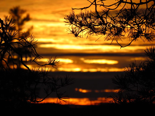 trees sunset sky orange black wisconsin clouds dark pines reflexions pictureperfect kohlerandraestatepark