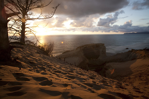 ocean sunset sky tree beach clouds oregon landscape coast sand pacific horizon dune lincolncity capekiwanda mg2294