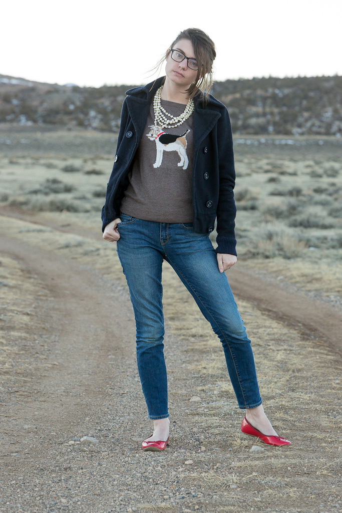 Fox terrier, never fully dressed, withoutastyle, sweater, joules, dog,wyoming,