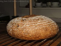 Wild Rice and Onion Bread (BBB)
