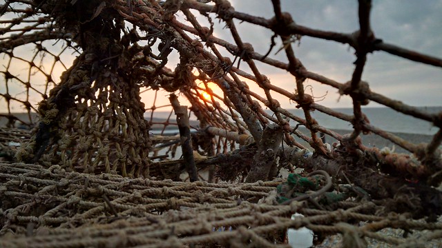 Sunset through the fishing pots at Cley