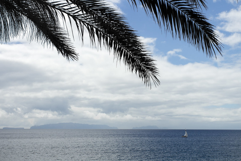 View from Santa Cruz on the Desertas Islands - M