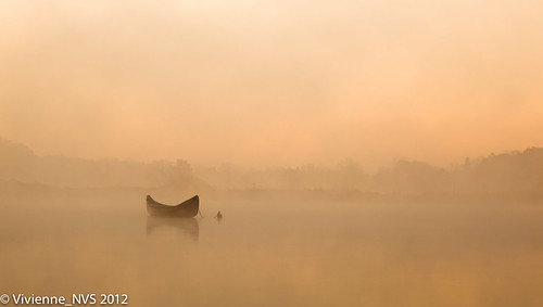 autumn mist lake fog sunrise illinois frost preserves lakecounty independencegrove foggyscenes