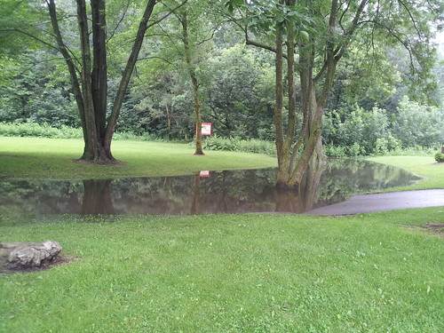 Flood Aftermath in Etienne Brulé Park
