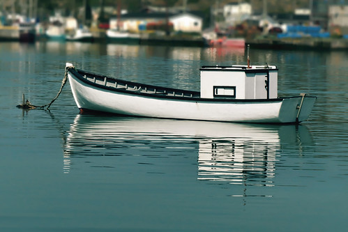 summer canada water newfoundland lumix boat explore 1000views twillingate cans2s fz200