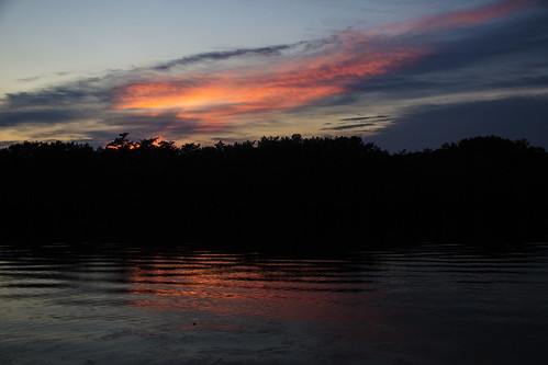 sunset lake water silhouette canon la swamp lousiana monroe cypress 60d cheniere
