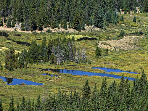 mountain mountains water rural colorado ponds tincup beaverlodges beaverdams