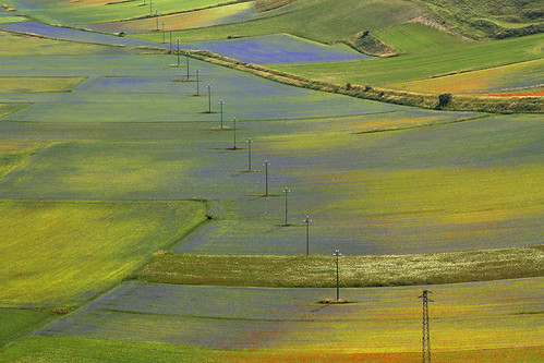 explore flora hill landscape wildflowers fields umbria canonef24105mmf4lisusm canoneos7d italy italia italie italien antoniovaccarini canon gettyimages paesaggio paysage italië