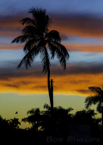 sunset gulfofmexico clouds florida palmtrees matlacha pineisland pineislandsound