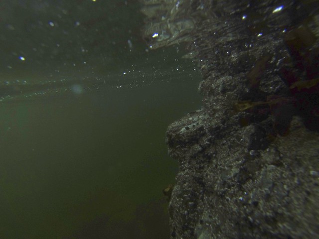 Air Bubbles and Rock Wall Underwater