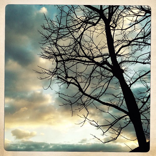 morning sky cloud japan clouds sunrise dawn skies kagoshima 鹿児島県 日本 kyushu 九州 大口 okuchi isashi iphoneography hipstamatic inas1969film 伊佐市 gsquadlens