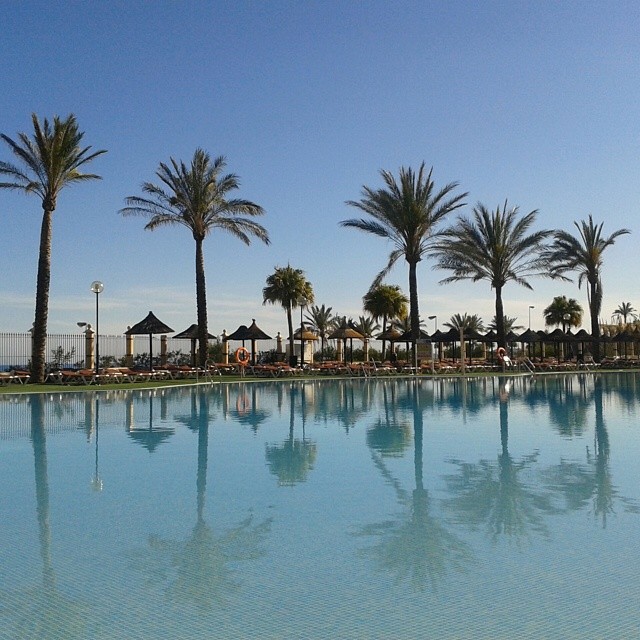 Pool and palm trees at Benalmadena