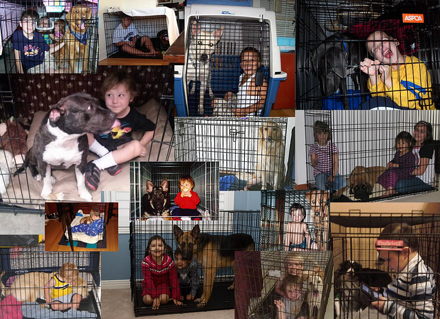 Kids in Crates with Dogs