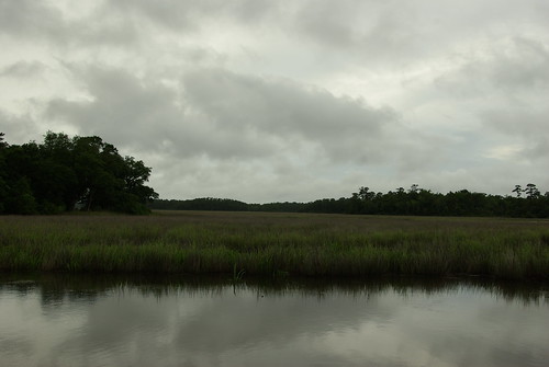water marsh