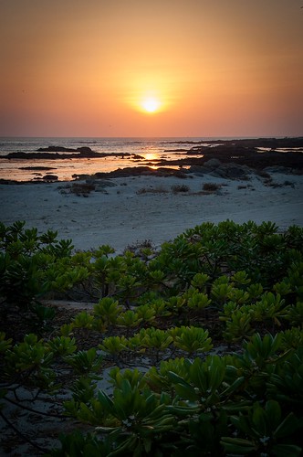 sunset orange colour green beach mike marriott hotel coast oman curd salalah mikeysee mikecurdphotography mikecurd