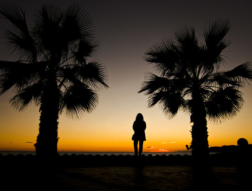 sunset sea sun sol contraluz mar peace silhouettes paz tranquility palm puestadesol backlit palmera siluetas tranquilidad