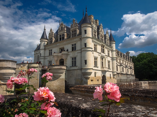 flowers france castle rose clouds europe bluesky olympus valley chateau loire omd em5 1250mmf3563mzuiko
