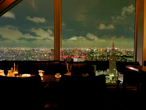 View from the Park Hyatt Hotel bar in Tokyo