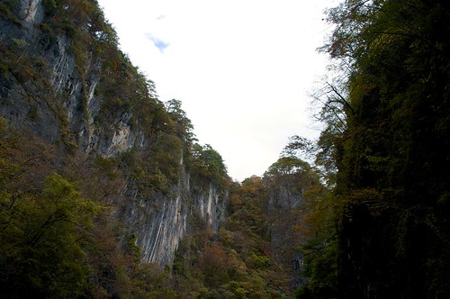 iwate hiraizumi 岩手 geibikei 平泉 猊鼻渓 gxra1228mm 183mmf25