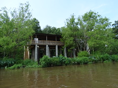 Swamps - Rivers - Bayou (93)