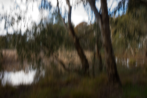 lake abstract tree art water grass leaves clouds zeiss reeds sony australia bluesky victoria eucalyptus gumtree icm chiltern a850 greenscene intentionalcameramovement sal2470z