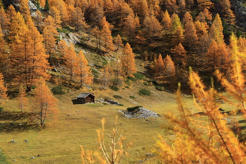 autumn france alps fall alpes automne queyras hautesalpes