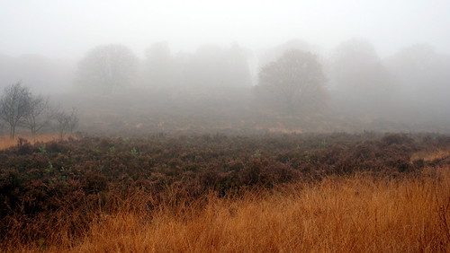 autumn fog landscape nevel nebel herfst nederland canon350d landschaft limburg landschap the4elements janneman2007