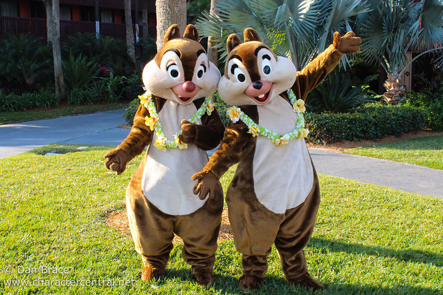 Meeting Chip and Dale