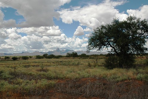 arizona landscape scenic