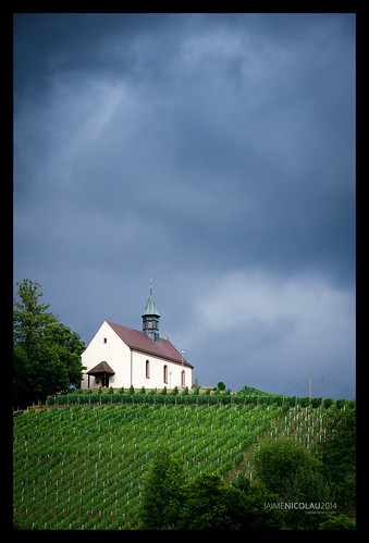 church viña wine iglesia vine schwarzwald blackforest vid viñedo selvanegra