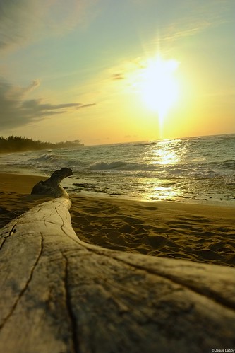 beach nature paradise puertorico caribbean isabela playajobos borderfx jesuslaboy