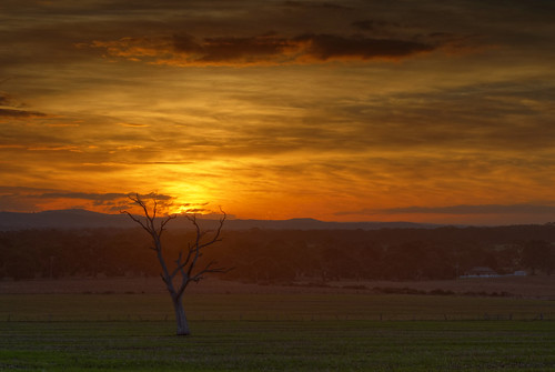 sunset australia melbourne greenvale