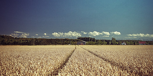 rural germany landscape dry farmlands