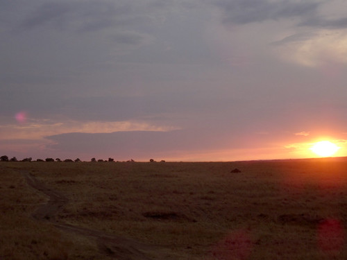sunset sunrise safari mara masai maasaimara 肯亞 肯尼亚 马赛马拉