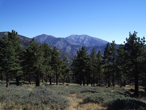california mountains landscape angelescrest sangabrielmountains angelesnationalforest losangelescounty olympusd395 bigpines