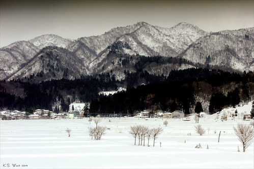 travel trees winter snow mountains alps cold japan landscape asian japanese asia flickr village image sony picture almostbw tourist photograph evergreens fields snowscape 2014 ©kswest ©stevenwest dscrx100 ©2014