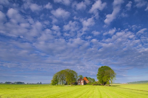 holland netherlands nikon day cloudy farmland jenco wsweekly84