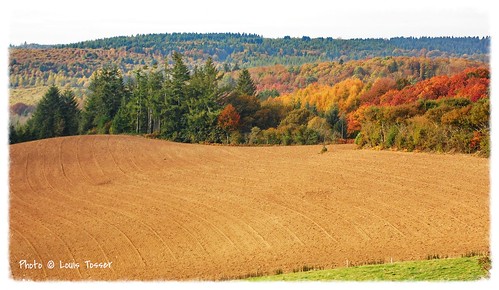 france bretagne finistère locmariaberrien automne arbres couleurs montsdarrée campagne