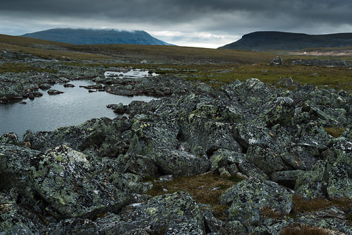 norway tundra troms landskap sommertur dividalen flybilde skaktardalen