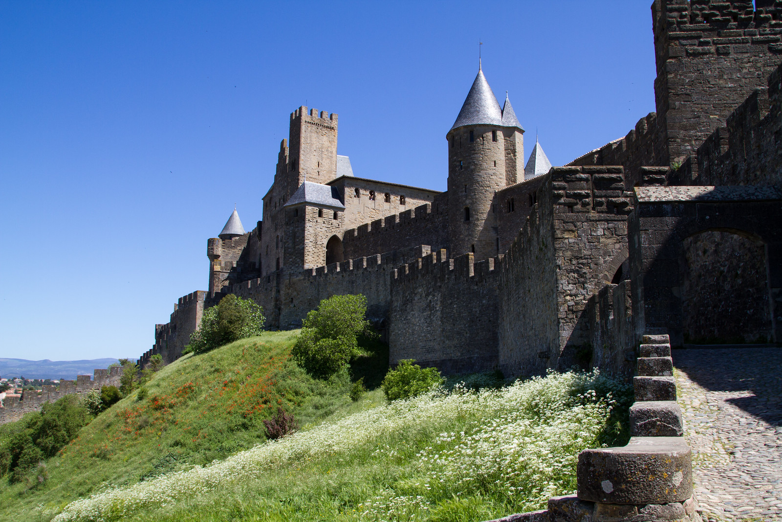 Carcassonne 20130506-_MG_6903