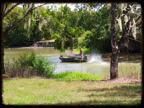 trees boat texas riverside huntsville tx spanishmoss walkercounty bulkhead lowwaterlevels harmoncreek nearriversidetx
