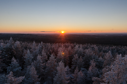 winter sunset norway forest vinter skog solnedgang 2014 østmarka