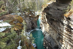 Athabasca River, Jasper National Park