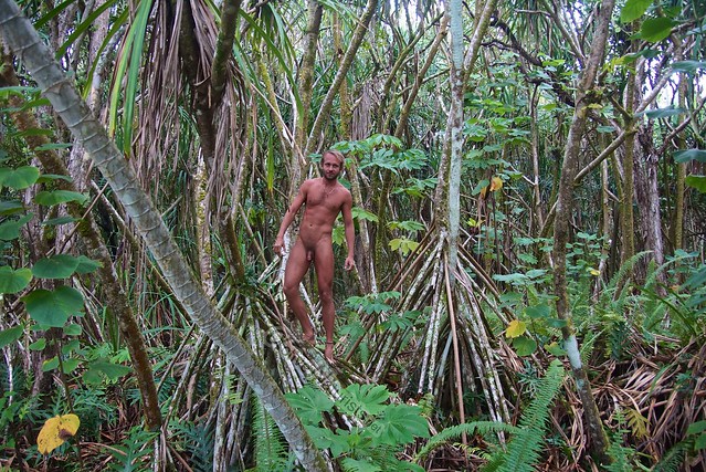 naturist 0001 forest near Kalani resort, Hawaii, USA