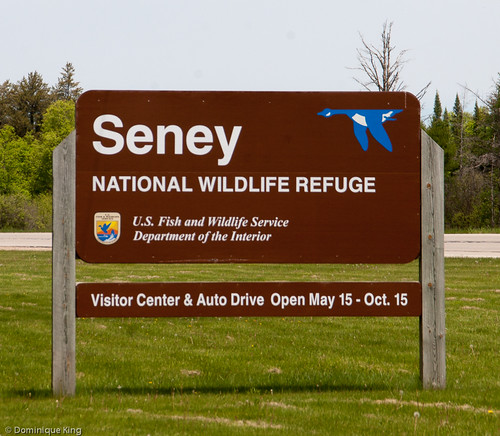 Seney national wildlife refuge jobs